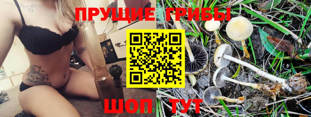 Меф кристаллы  Каннабис  КОКАИН  МДМА  Тайшет  ГАШИШ  Гашиш  LSD-25  Вход с VPN  APVP СК  